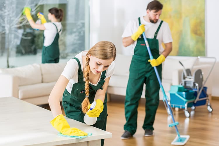 Experienced professionals equipped with the best skills and tools to provide unparalleled premium cleaning solutions for your home