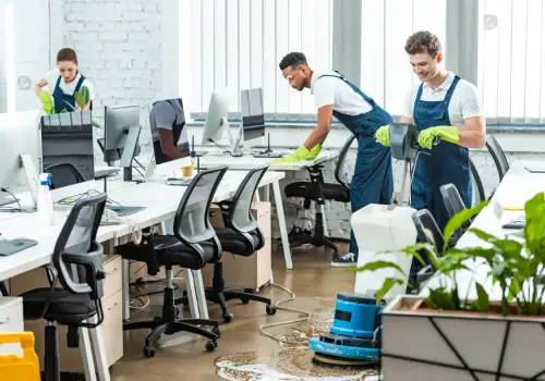 Experienced professionals equipped with the best skills and tools to provide unparalleled premium cleaning solutions for your home